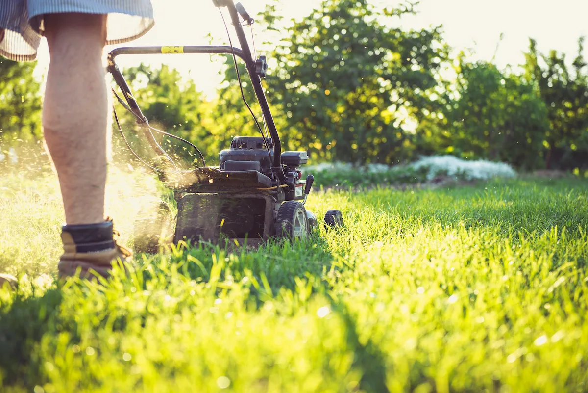 Lawn care and maintenance service for residential landscaping in San Francisco, CA